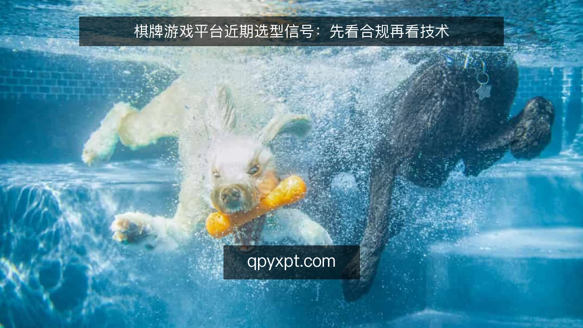 棋牌游戏平台近期选型信号：先看合规再看技术